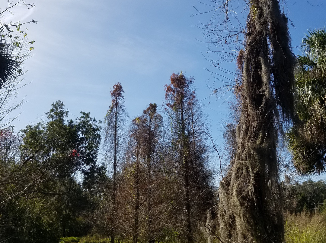 Felts Audubon Preserve-Palmetto必去景点
