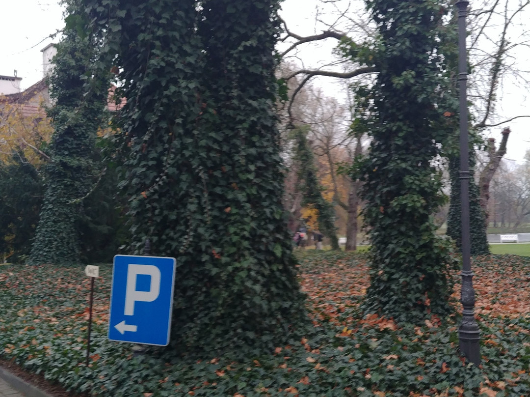 Palace in Radziejowice景点图片