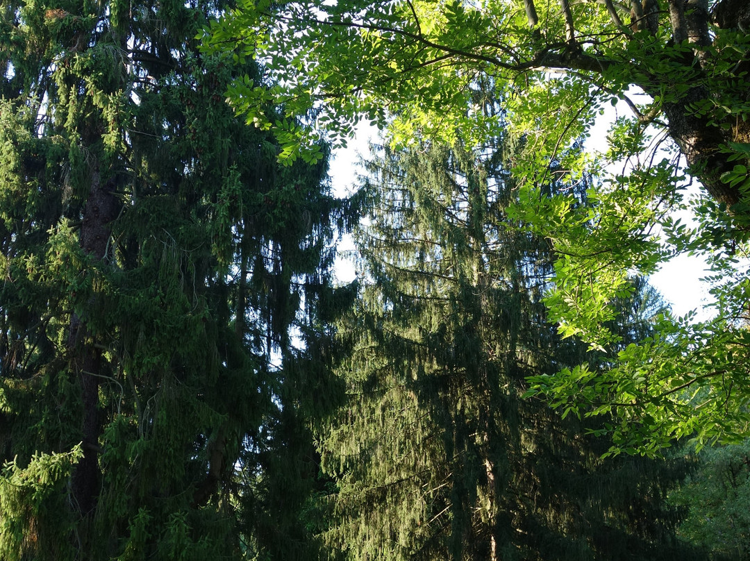 Kurpark Bad Gleichenberg-泉格莱兴山必去景点