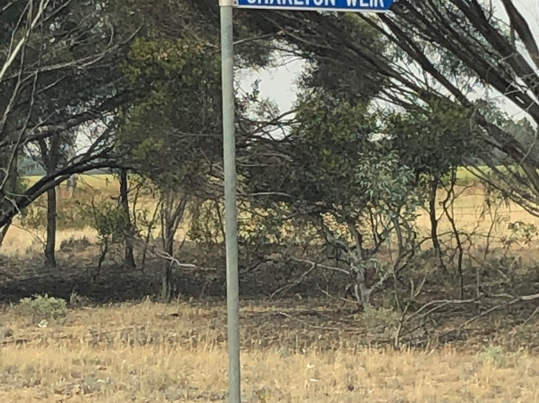 Charlton Weir-Charlton必去景点