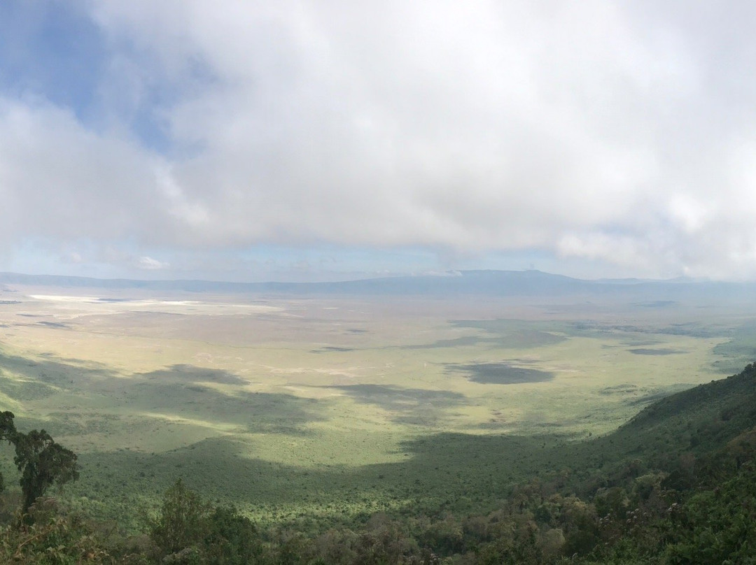 Ngorongoro Crater景点图片