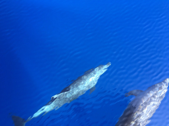 Larnaca Napa Sea Cruises-拉纳加必去景点