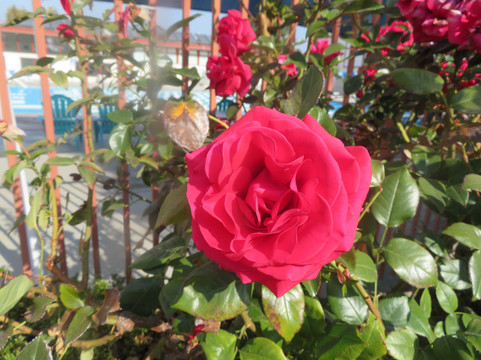 Heritage Theatre-坎贝尔必去景点