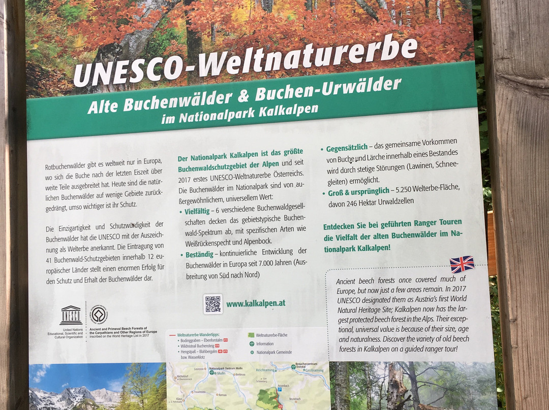 Nationalpark Kalkalpen-Reichraming必去景点