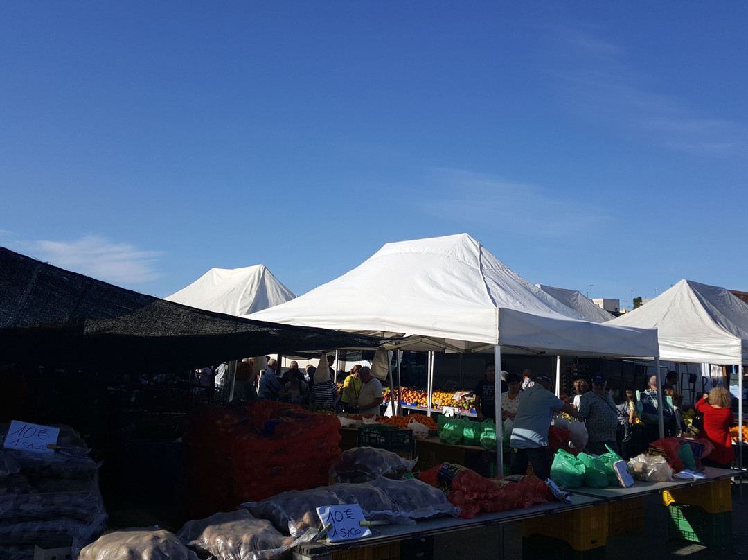 Mercadillo de Bonavista-塔拉戈纳必去景点