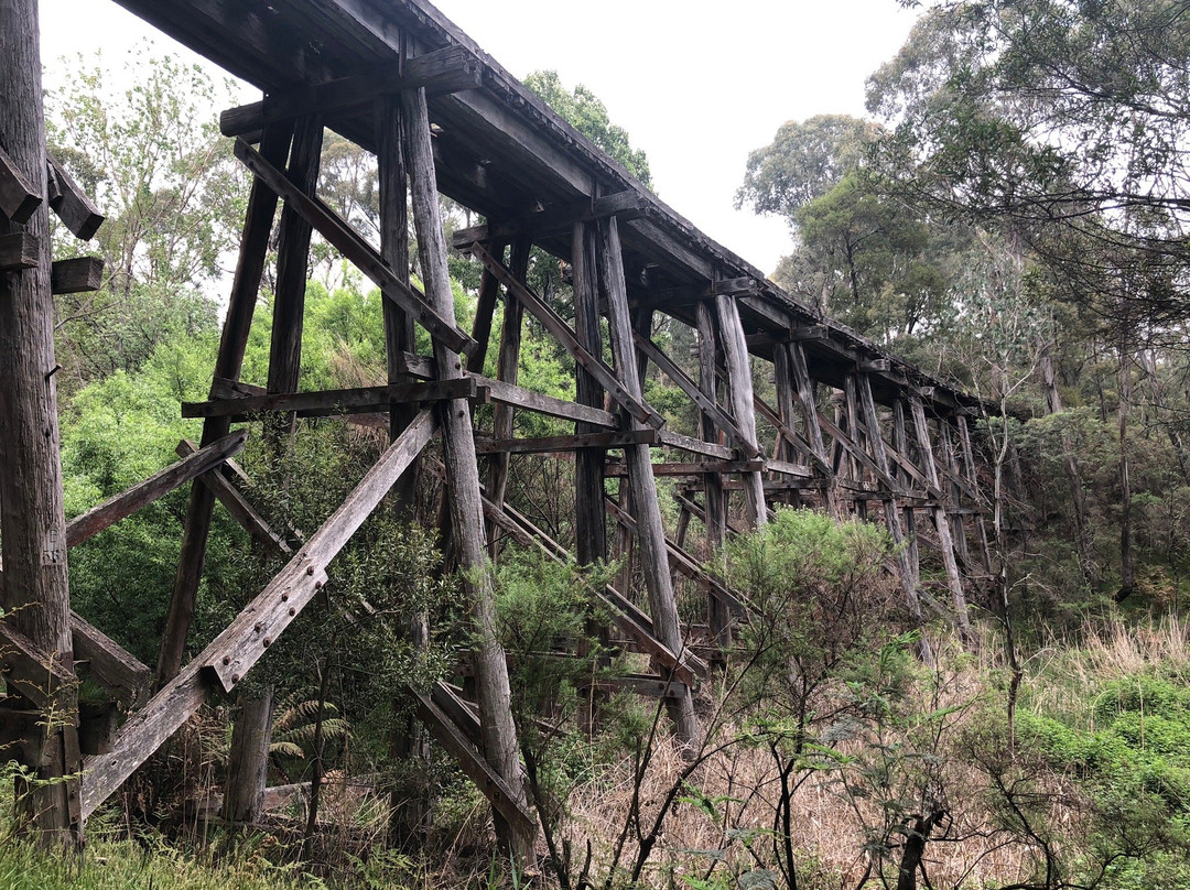 Koetong Trestle Bridge