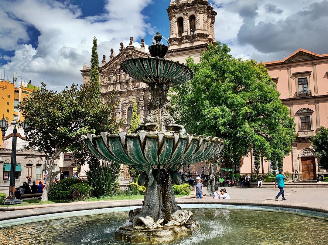 Plaza del Carmen景点图片
