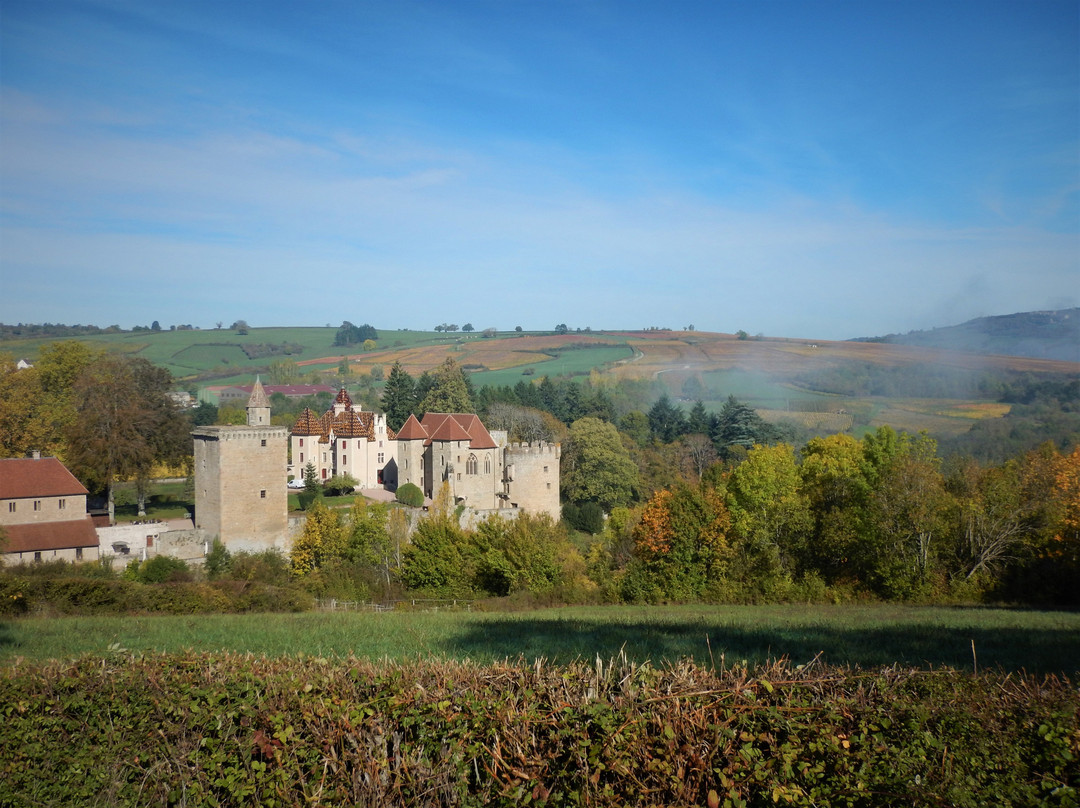 Quad Vignes et Chateaux景点图片