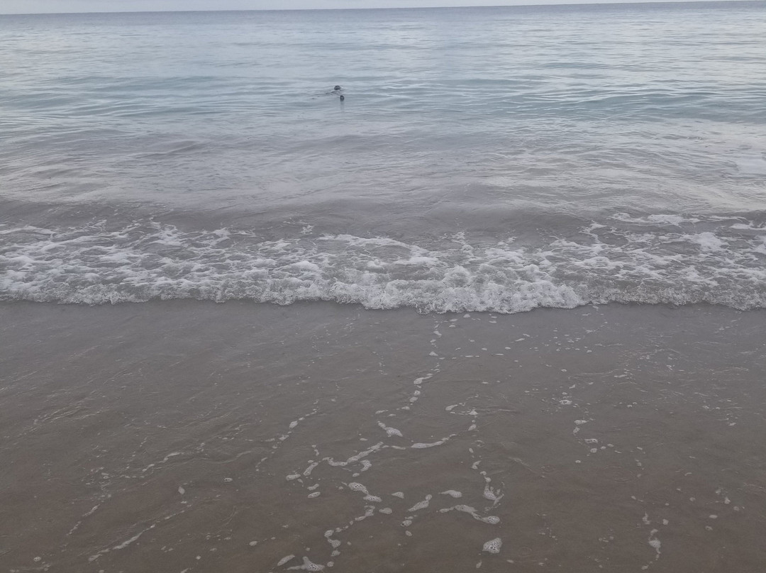 Golden View Guesthouse主图