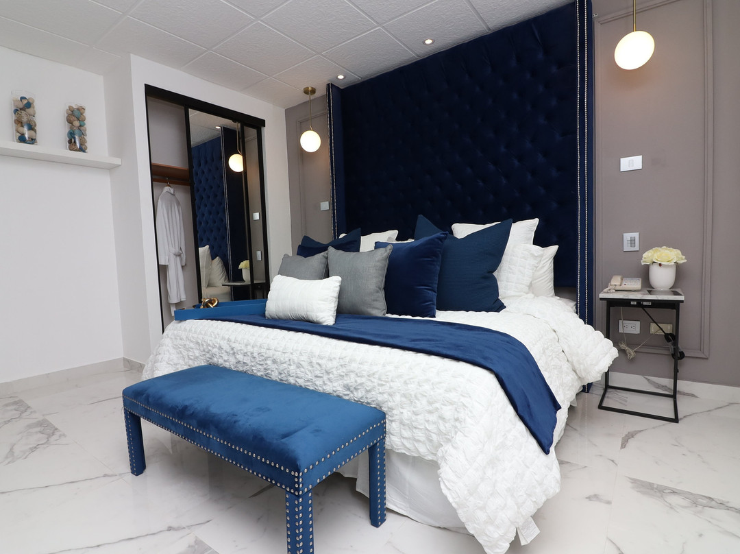 Hidalgo酒店住宿-Hotel Posada San Antonio