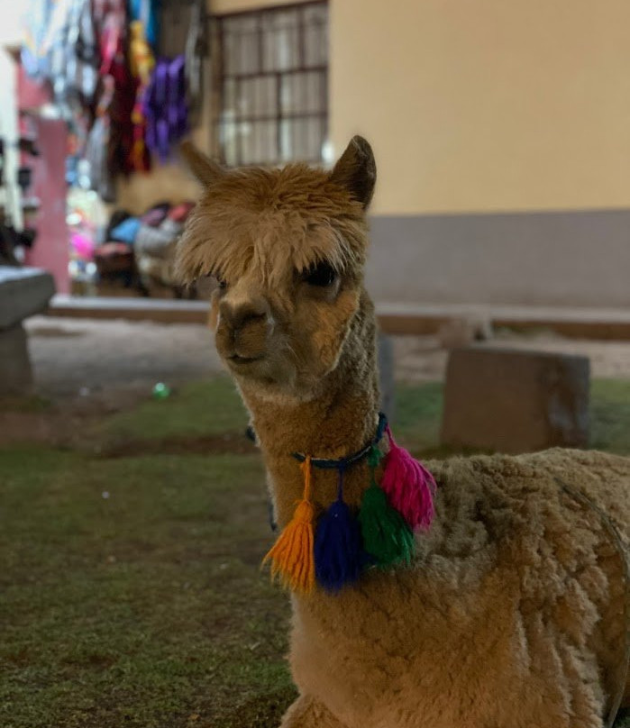 Callejon de Loreto-库斯科必去景点