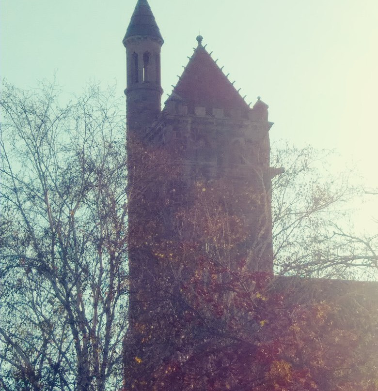 Fairbanks Museum and Planetarium景点图片