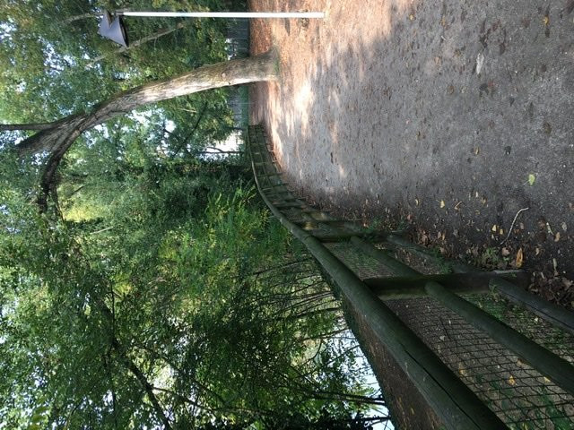 Parco Laghetto景点图片