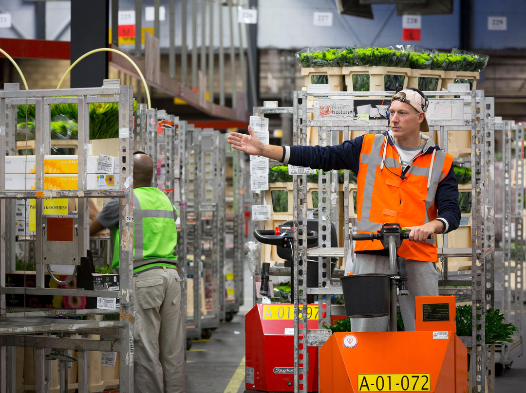 Amsterdam Tour Company-阿姆斯特丹必去景点