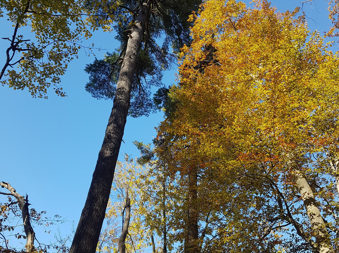 Springwater Conservation Area-Aylmer必去景点