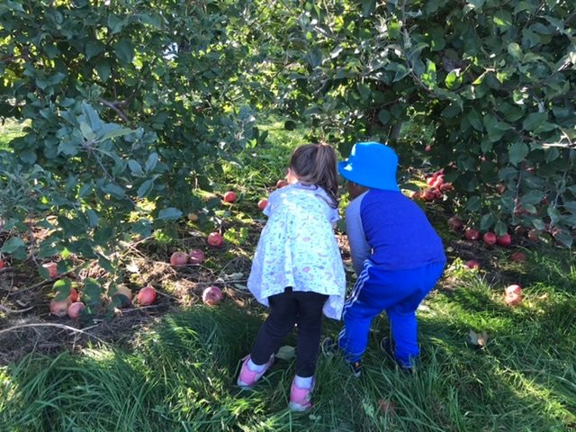 Orchard Home Farm-St. George必去景点