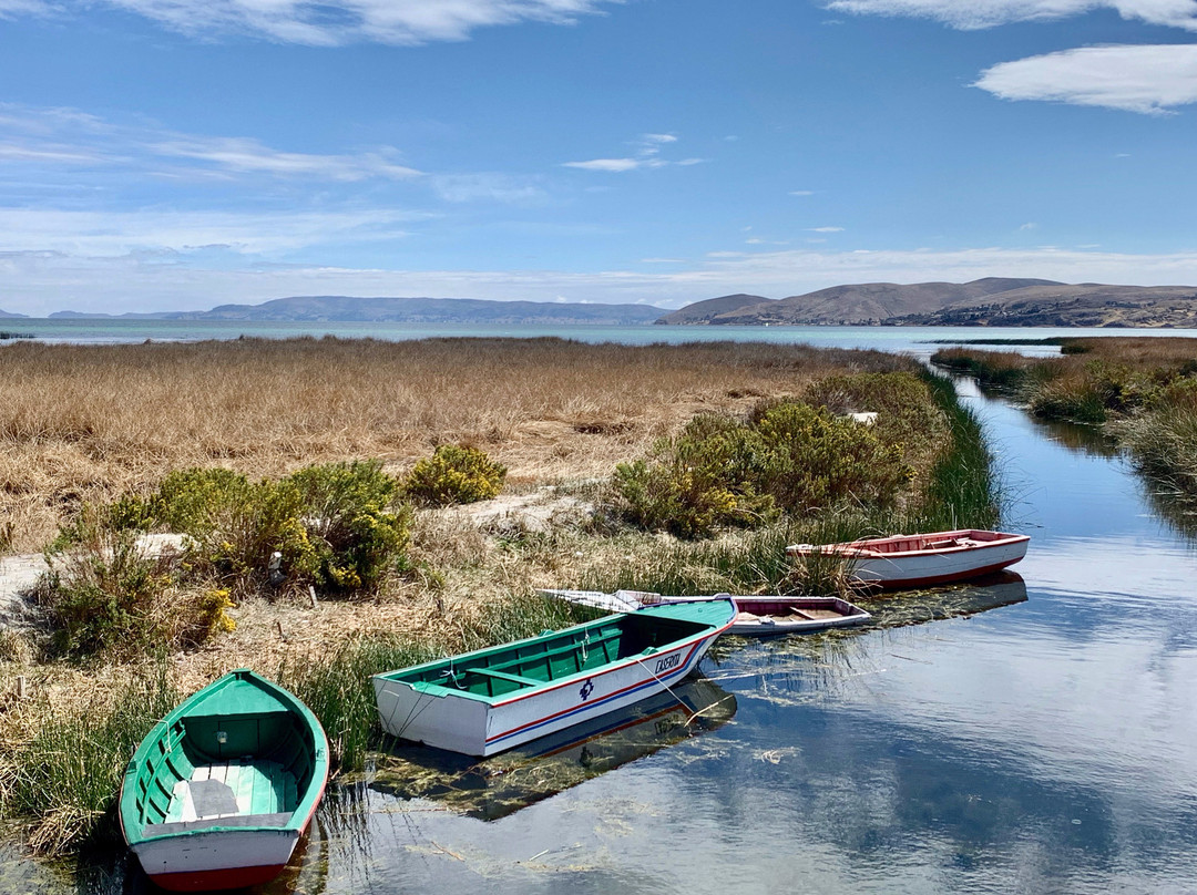 Taypikala Hotel Lago主图