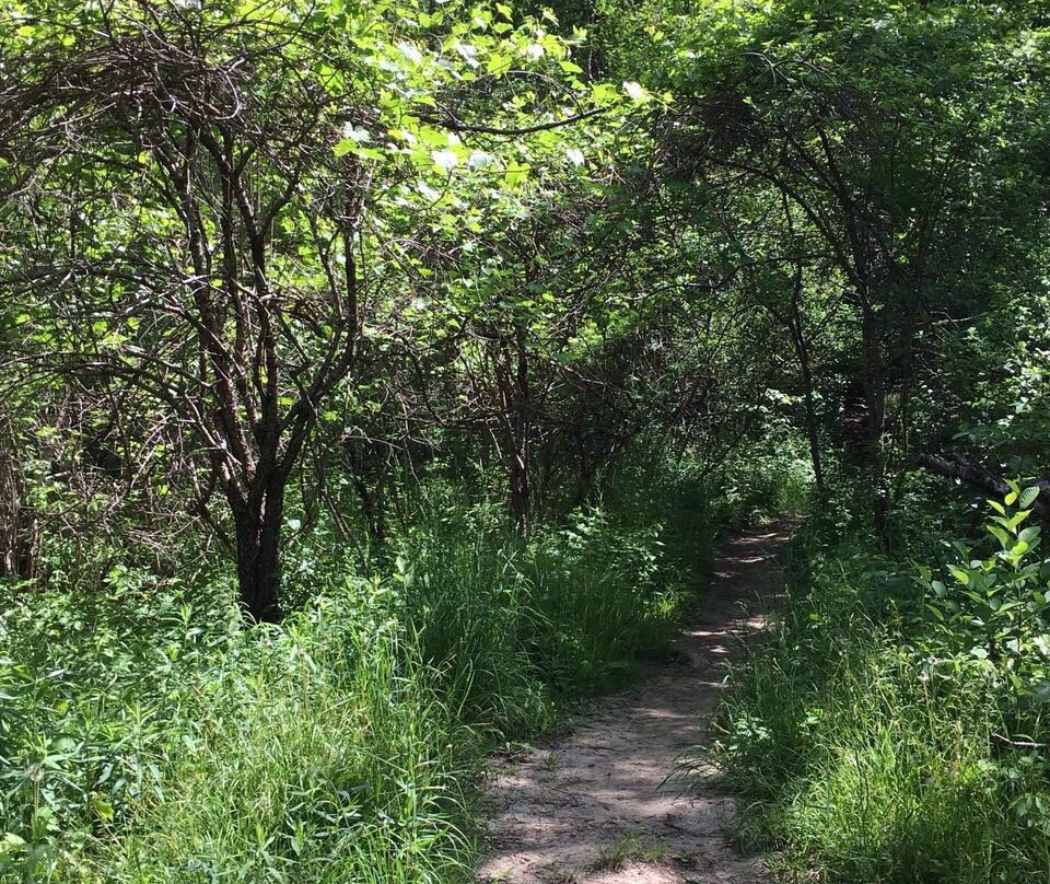 Ilderton旅游景点-Medway Valley Heritage Forest