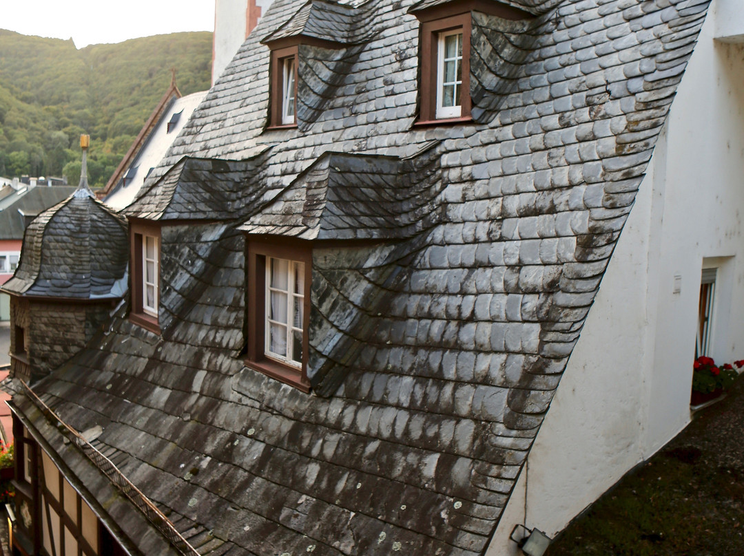 老布尔恩斯汉克山上酒店主图