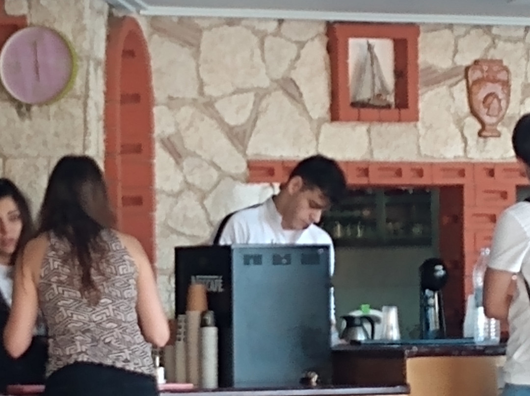 Aristoteles Beach Hotel主图