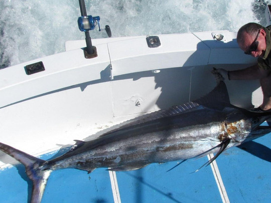 Nuevo Vallarta fishing charters-新瓦雅塔必去景点