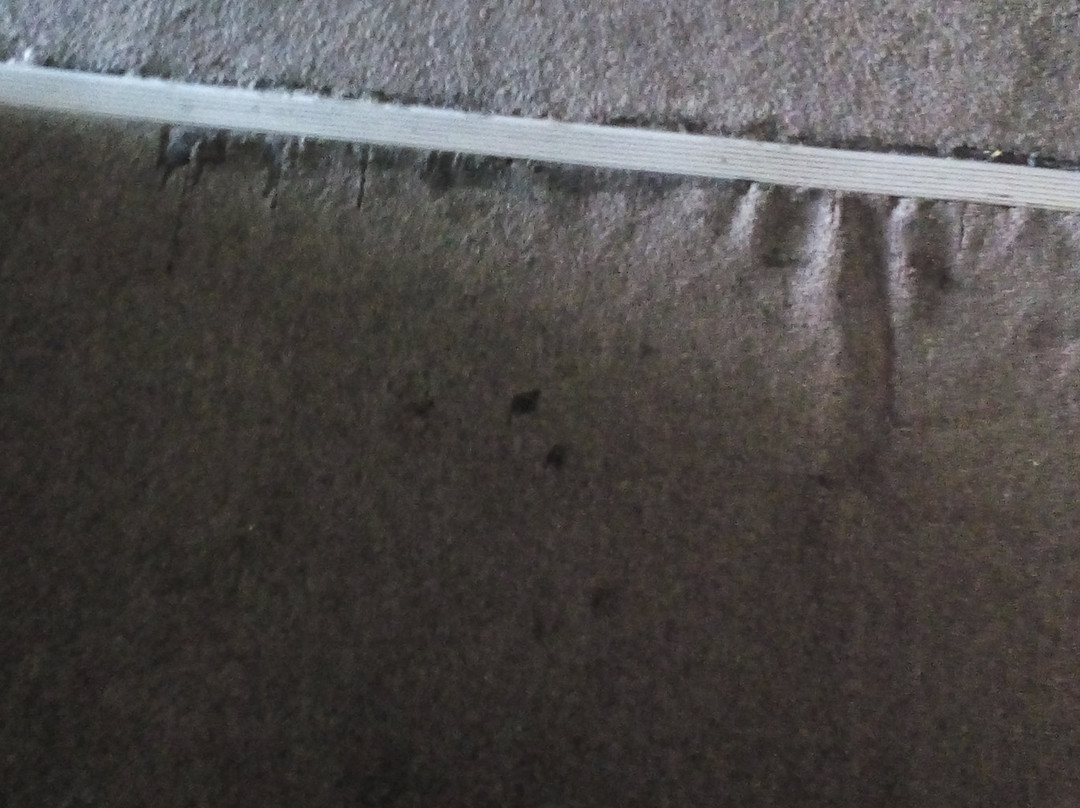 Hotel Terranova Suites主图