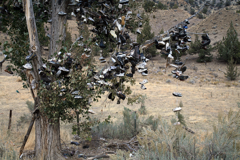 Alfalfa旅游攻略图片