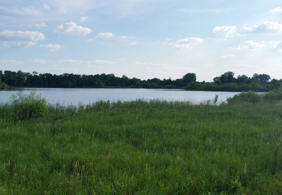 Pickerington Ponds景点图片
