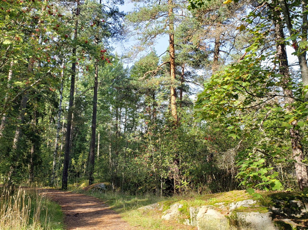 Happy eBikers-赫尔辛基必去景点