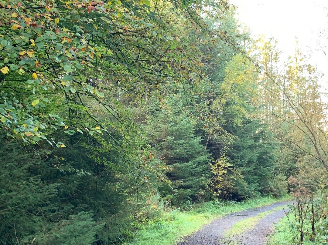 Glenbarrow-County Laois必去景点
