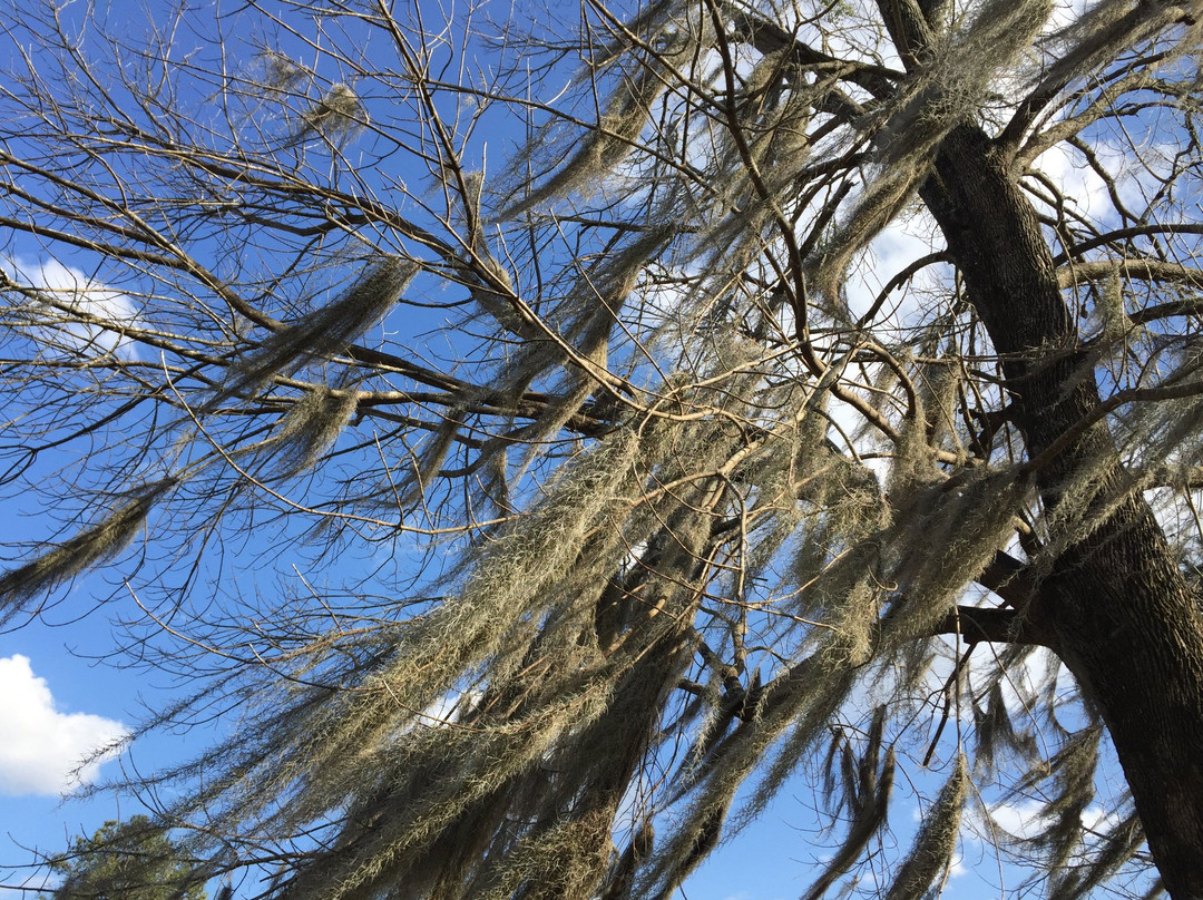 Florence Marina State Park