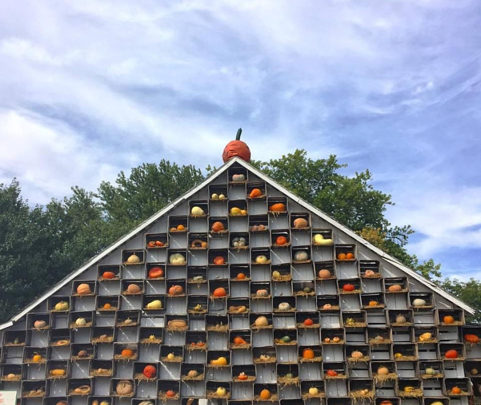 Arthur旅游景点-The Great Pumpkin Patch