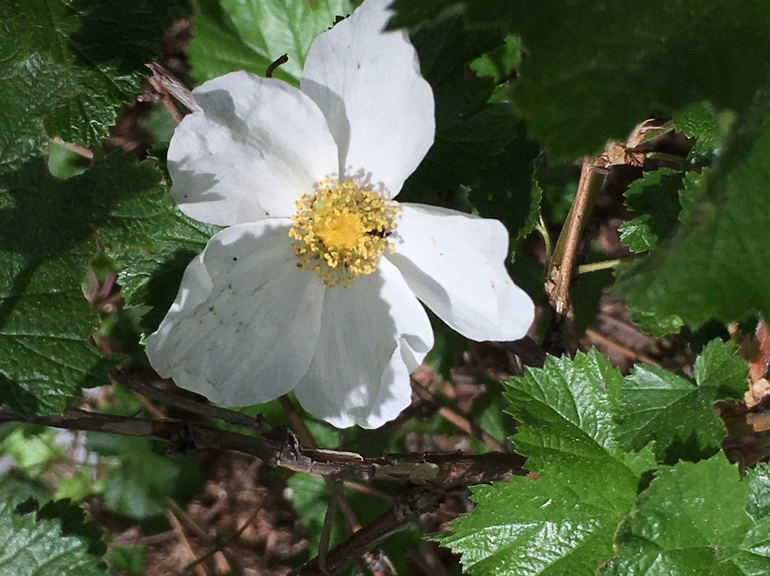 Humphrey History Park and Museum-Evergreen必去景点