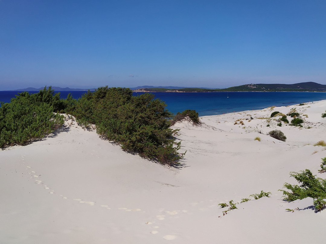 Le Dune Bed and Breakfast主图