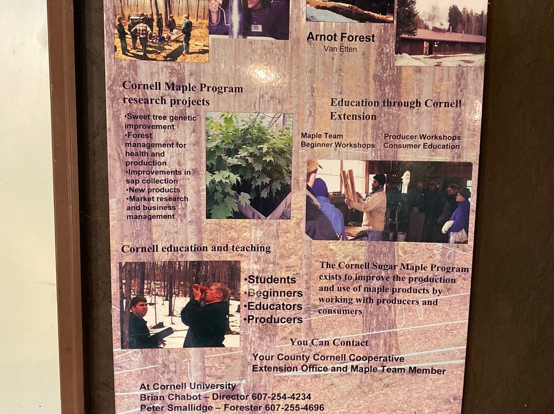 Uihlein Maple Research Forest-普莱西德湖必去景点