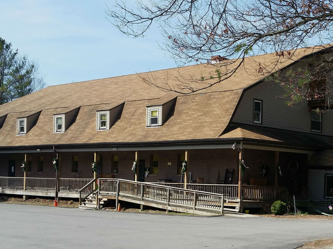 A Bee's Buzz-Foster必去景点