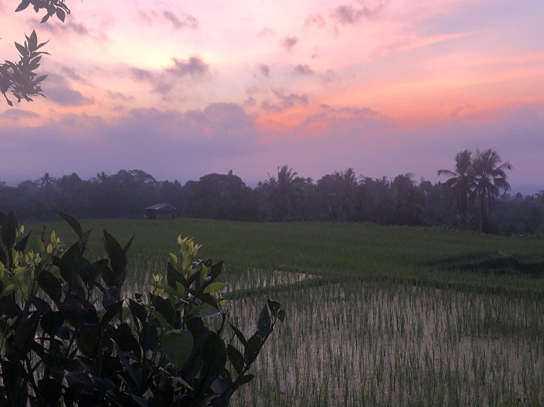 Kubu D’Ume Homestay主图