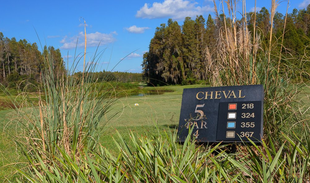 The Club at Cheval景点图片