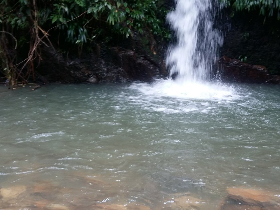 Parque Nacional del Agua-Carmen de Apicala必去景点