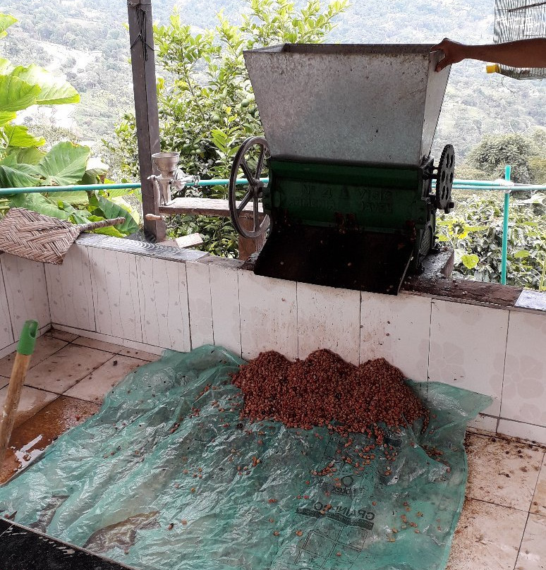 Cafe Jaguar-Silvania必去景点