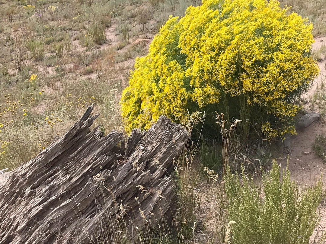 Highway 126-Cuba必去景点