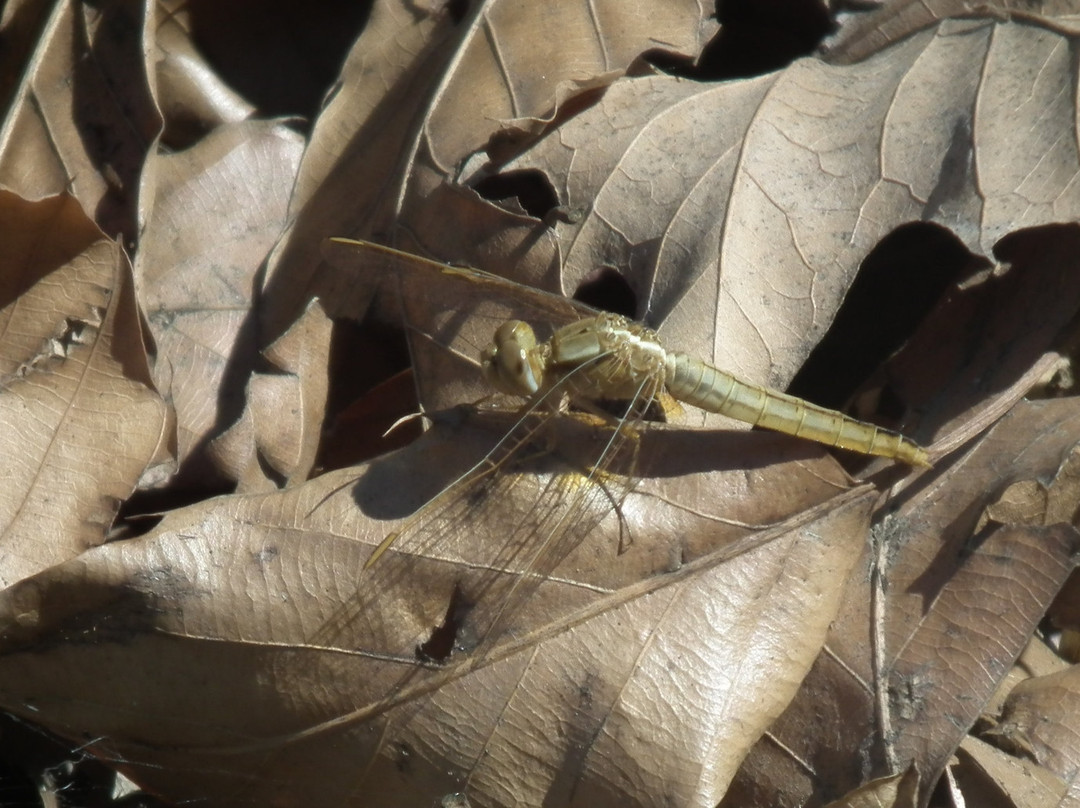 Kenmo Lake-安德堡必去景点