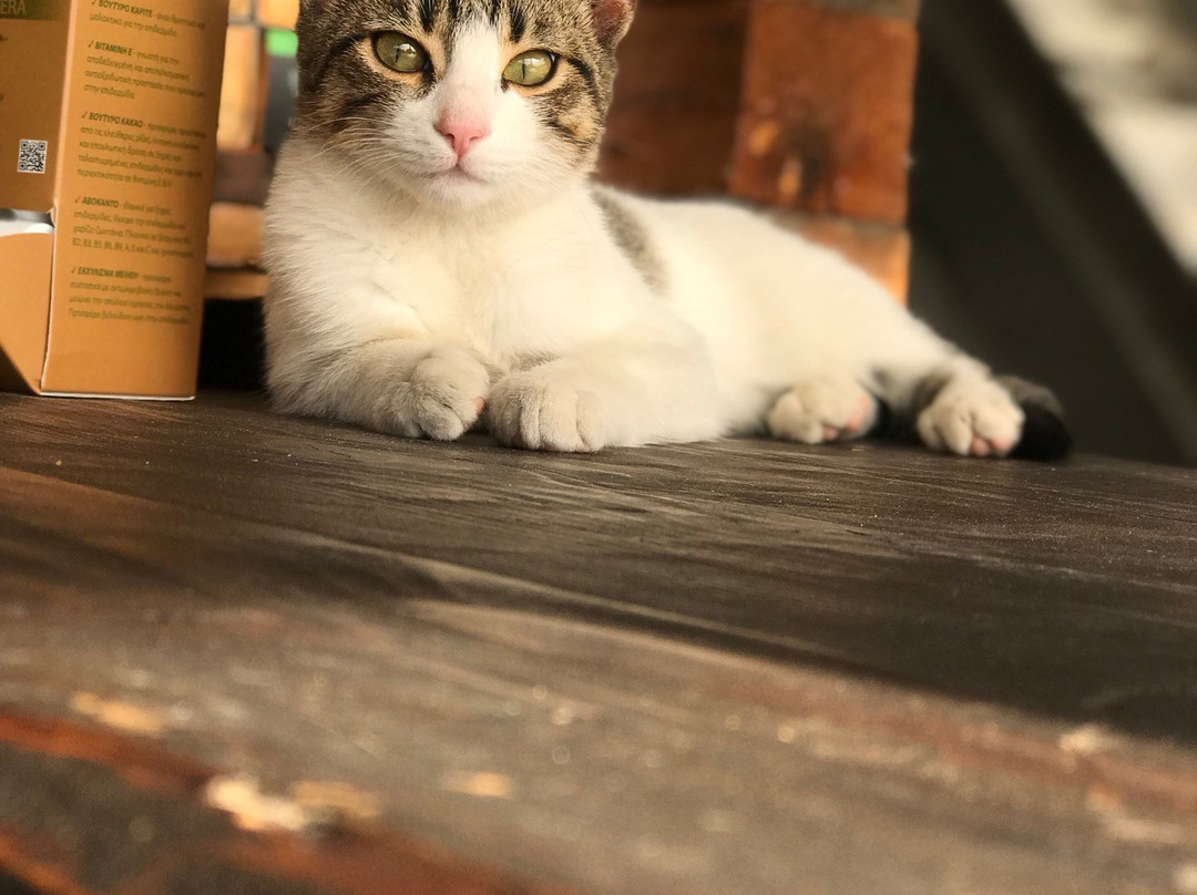 Vassilakis Estate-Neapoli必去景点