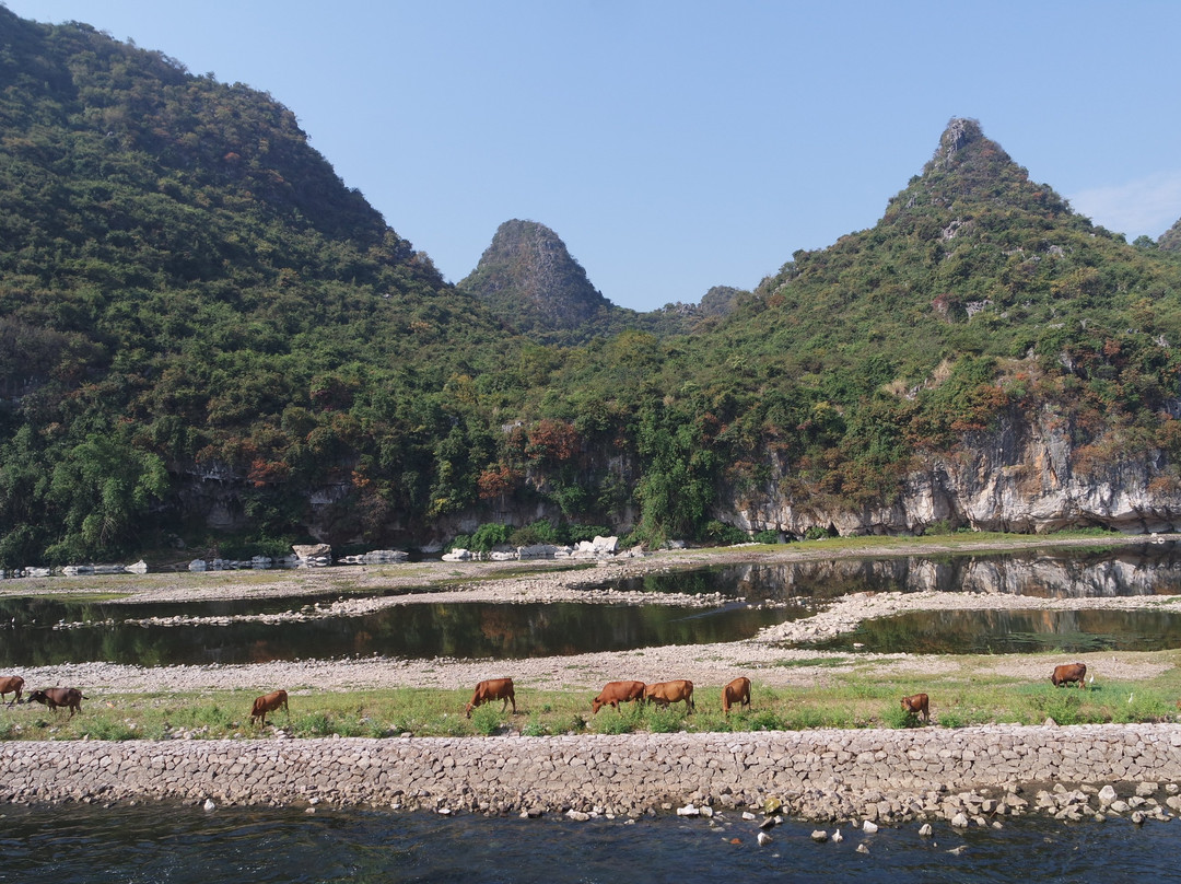 南方喀斯特-阳朔县必去景点