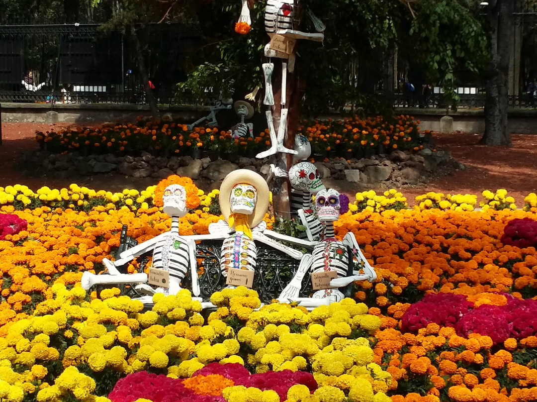 Mexico Bike Tour-墨西哥城必去景点