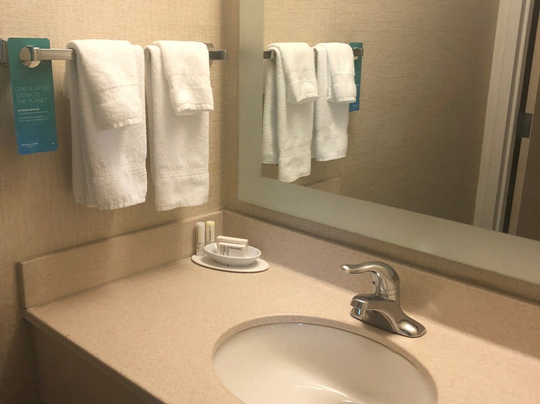 Springhill Suites Lansing主图