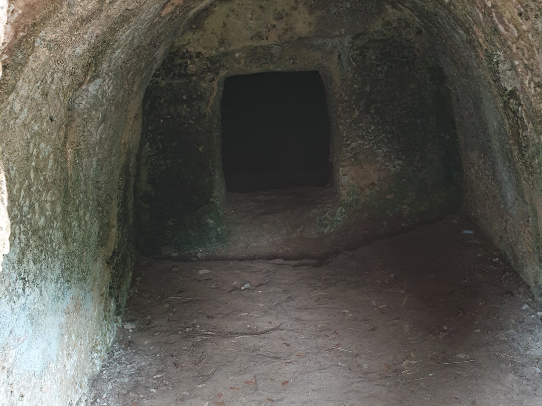 Cuevas de l'Alzinaret-Cala Sant Vicenc必去景点