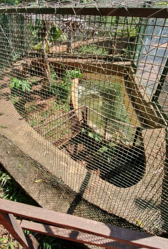 Bio Centro Iguazu景点图片