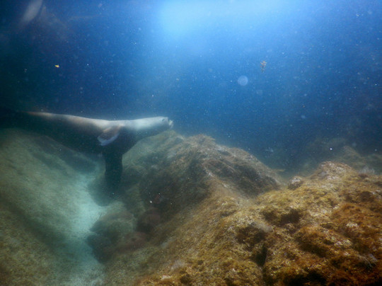 Rocio del Mar-圣何塞卡波必去景点