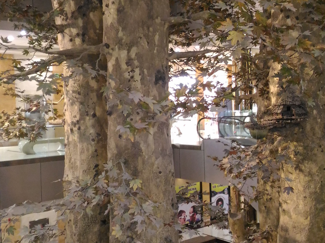Arman Shopping Center景点图片